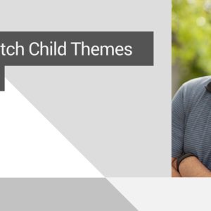 switch child themes
